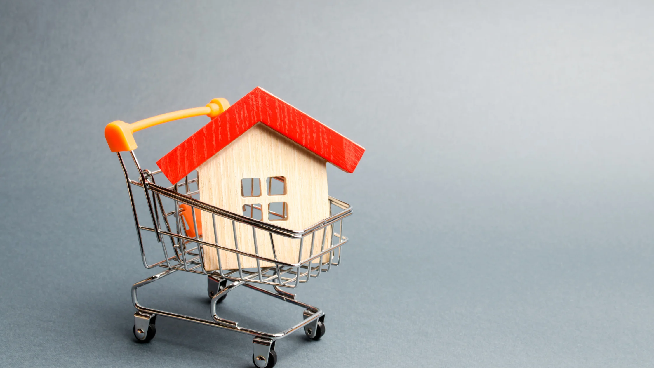 Who Should Consider Buying Property in Sainik Colony?